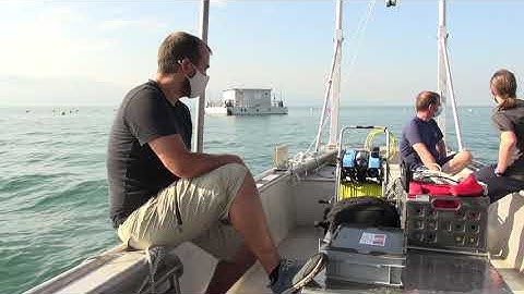 Optical Wi-Fi allows for ultrafast underwater communications