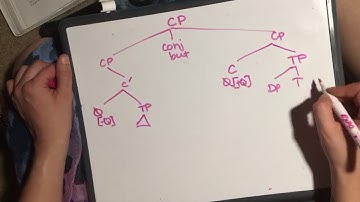 Part 2- Carnie Chapter 7: Extending X Bar Theory to Functional Categories