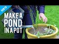 How to make a pond in a pot