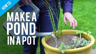 How to make a pond in a pot