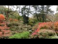 紅葉の徳明園