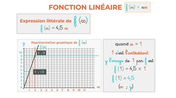Fonction Linéaire - Antécédent - Image - Représentation Graphique -  La Droite de f(x)