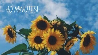 40 Minutes of Aesthetic Musics!