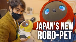 Fall In Love with LOVOT Japan&#39;s New Robot Pet - LOVOT Cafe