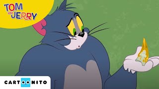 Die Tom und Jerry Show | Der Zauberzahn | Boomerang Die Tom und Jerry Show | Der Zauberzahn | Boomerang