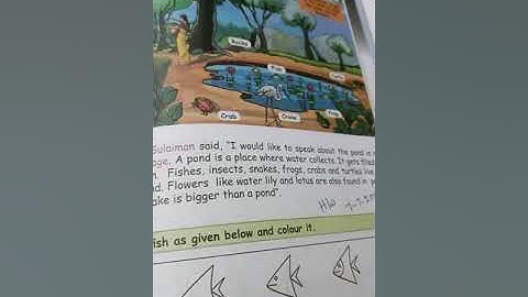 CLASS II- EVS Lesson 1(Our environment) book pg.80,81 (8/7/2021) part 1