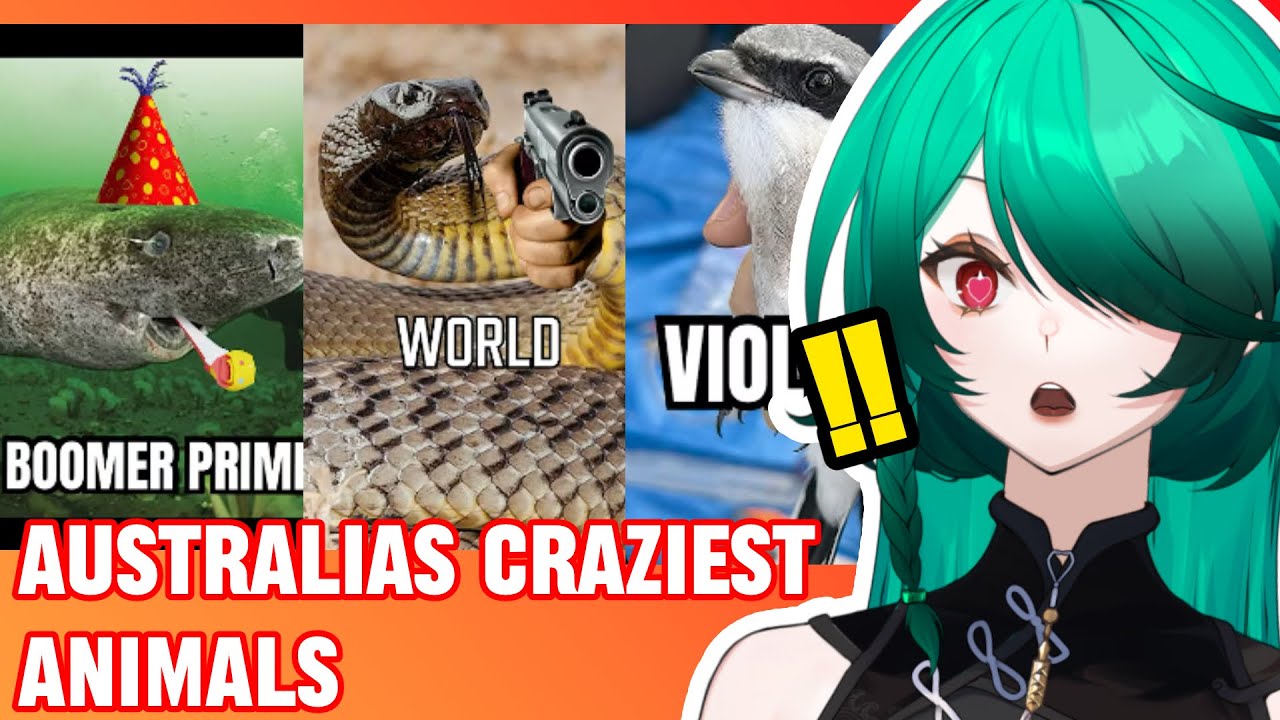 Hilarious and Deadly Australian Animals - More Parz Reaction