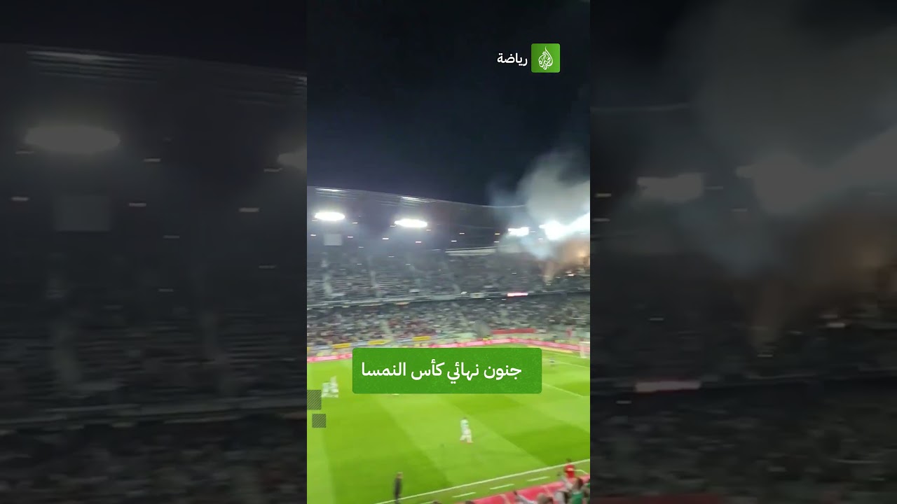 أجواء جنونية في نهائي كأس النمسا بين شتورم جراتس ورابيد فيين