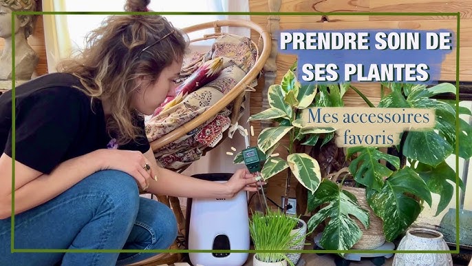 Mygdal Plantlam, la lampe- plante pour vos intérieurs sans fenêtre !