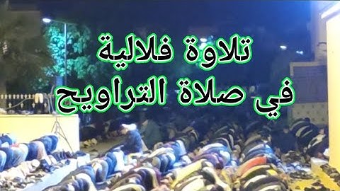 تلاوة فلالية 🌍🌲🌍في صلاة التراويح