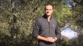 Ecosemanario Buenos días Aragón: frutos del otoño