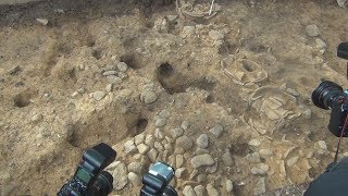 仁徳陵、堤に精巧な石敷き 5世紀、大王の権力示す 仁徳陵、堤に精巧な石敷き 5世紀、大王の権力示す