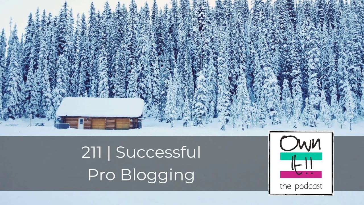 Own It! 211 | Successful Pro Blogging