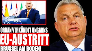 Download Lagu Orban kündigt EU-Austritt an und macht die Grenzen dicht! Brüssel ist Fassungslos! MP3