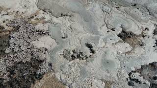 Biological dredging of industrial lagoon yields spectacular results