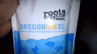 air pots and roots organisms