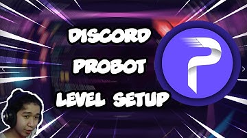 CÁCH SETUP LEVEL CHO PROBOT TRONG DISCORD