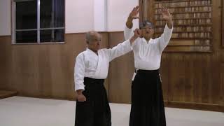Aikido | Shisei | Posture part 2