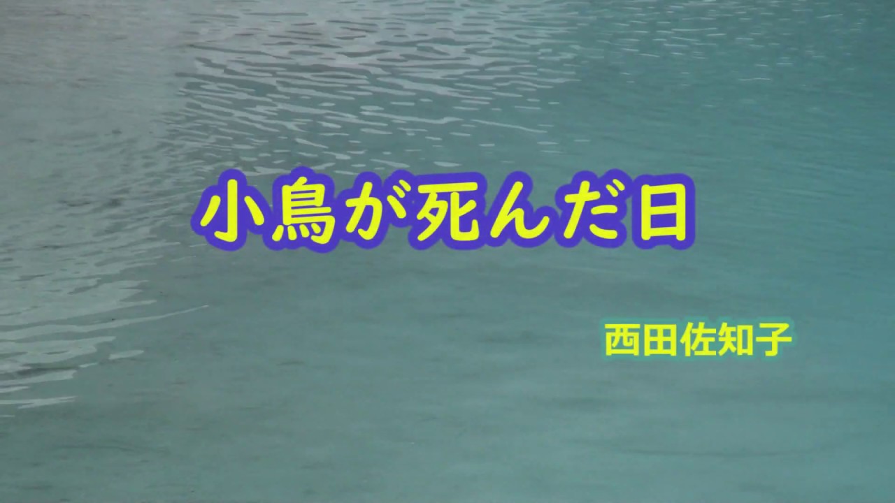 小鳥が死んだ日 池 西田佐知子 Youtube