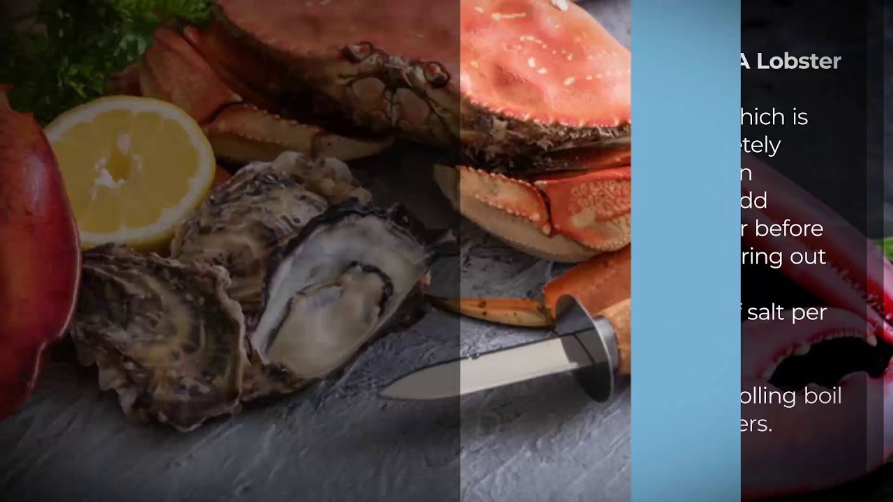 How Successfully Cook & Boil A Lobster - Farm-2-Market Recipe - YouTube