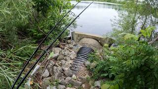 River is Flooded and I'm Still Fishing the Lake