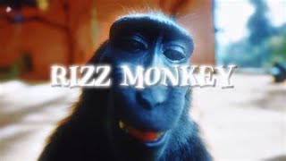 MOONLIGHT🌑// Monkey Rizz // AMV Edit // Elixir