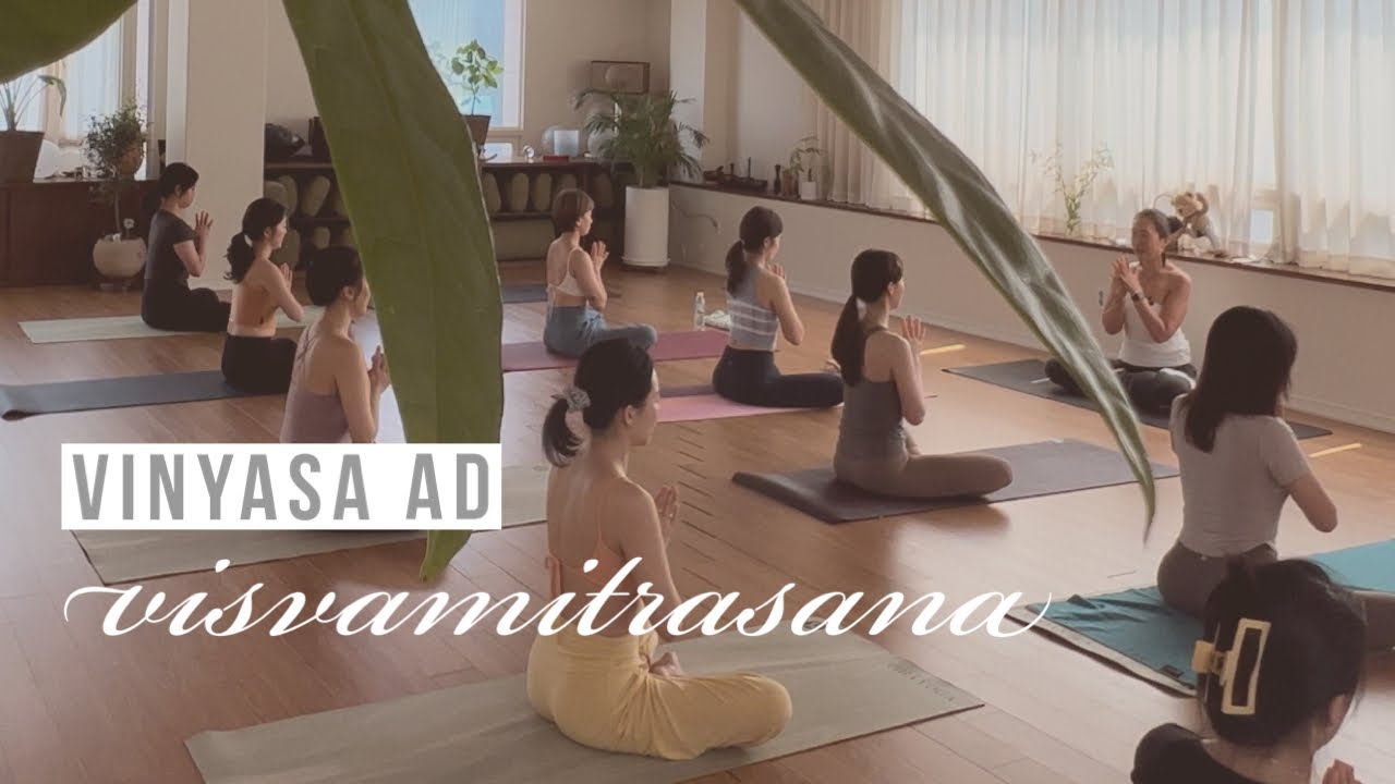 비스바미트라사나 / 빈야사요가 / 중고급 / 80분 / 비하요가