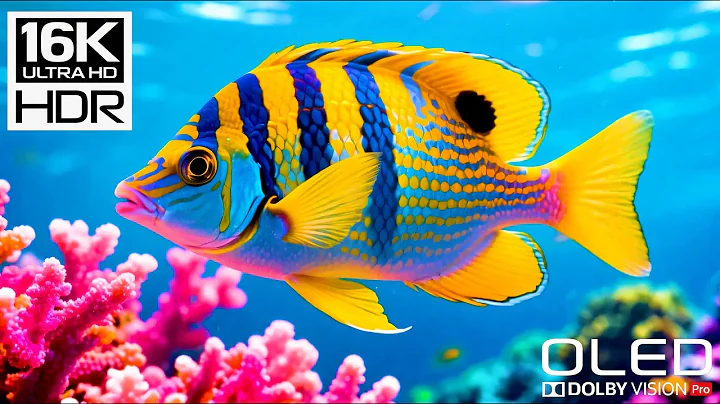 🌊 16K HDR Dolby Vision | Secrets of the Abyss – Witness Nature’s Hidden Masterpiece