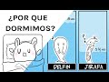 ¿Por qué dormimos y cómo mejorar tu sueño?