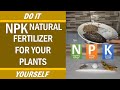 NPK - Natural Fertilizer for Your Sansevieria or Snake Plant