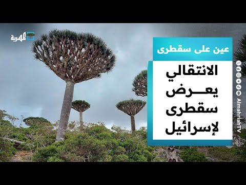 الانتقالي يعرض سقطرى على إسرائيل مقابل الحصول على شرعية دولية عين على سقطرى