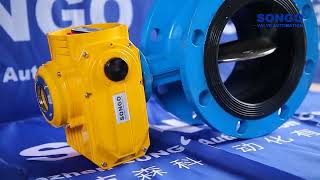 flange motorized butterfly valve on off type 220v 16bar epdm ss304 ip67 160nm