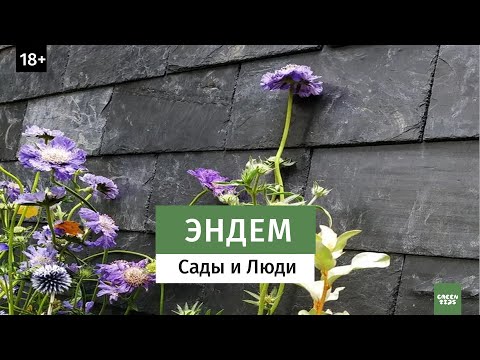 Выставочный сад “ЭНДЕМ”. Золотая медаль. Фестиваль Сады и Люди 2019