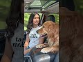 #drive #dog #roadtrip #song #music