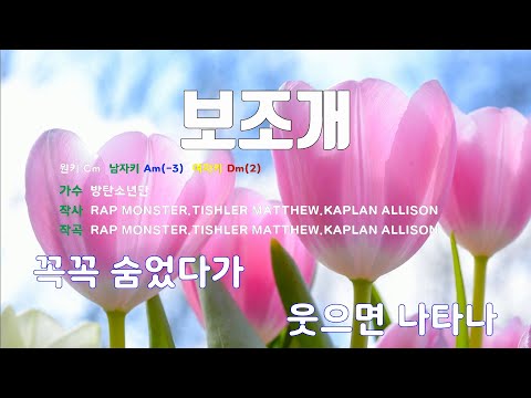 [은성 반주기] 보조개 - 방탄소년단