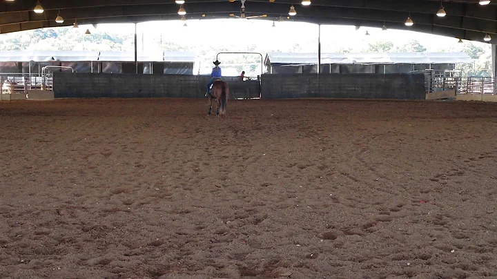 Montgomery Alyssa Greer and Boots