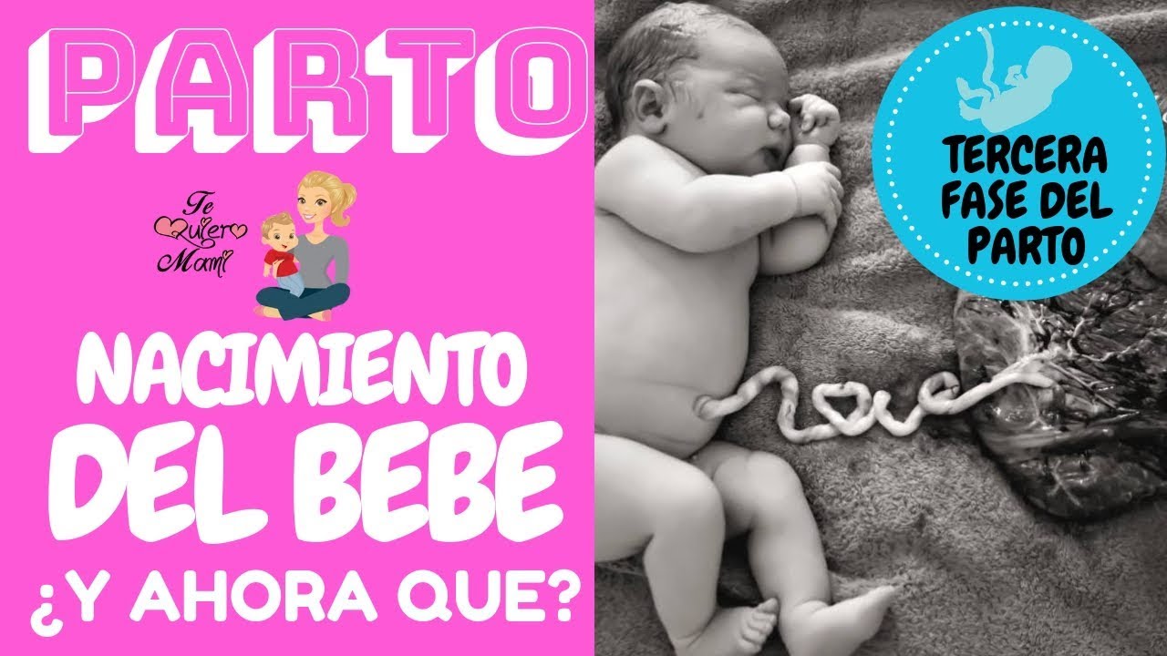 PARTO NACIMIENTO DEL BEBE ¿Y AHORA QUE ? TERCERA FASE DEL PARTO