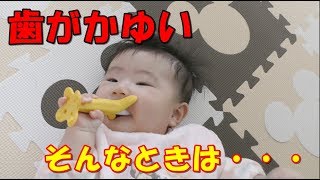【成長】歯固めバナナ！生後４ヶ月の赤ちゃん！