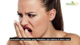 POKOK LETUP-LETUP  (EPISOD 100) TURUNKAN BACAAN DARAH TINGGI & PANAS BADAN