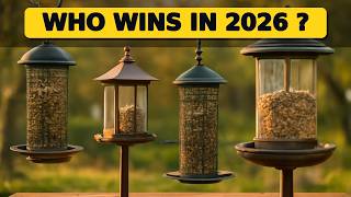 Top 5 Best Bird Feeders 2026 - Enhance Your Backyard Biodiversity