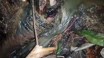 tshwm sim tej yam txawv txawv Nyob rau nyab laj teb