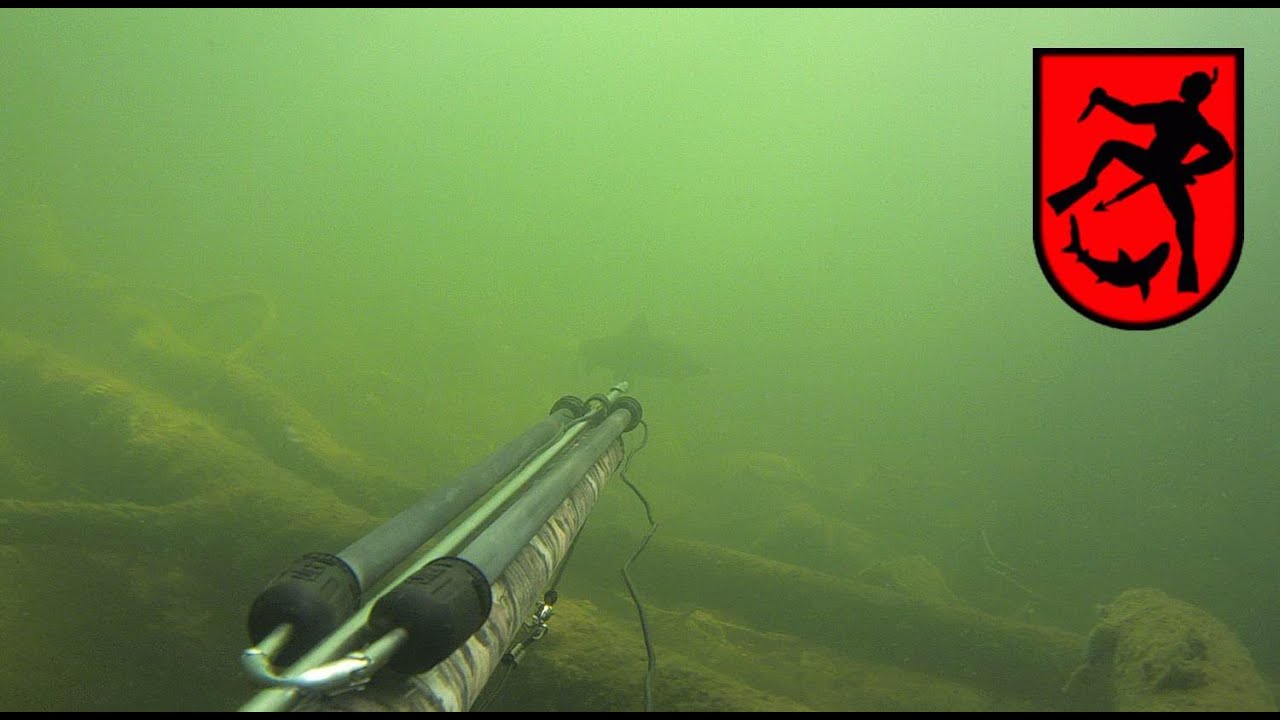 109 Freshwater Spearfishing - Whitefish Headshot