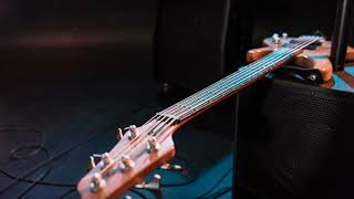 Alice Cooper - Raped and Freezin' (bass backing track)