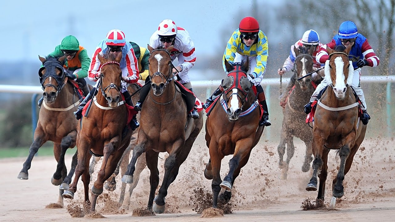 Sail Horse Race Video YouTube