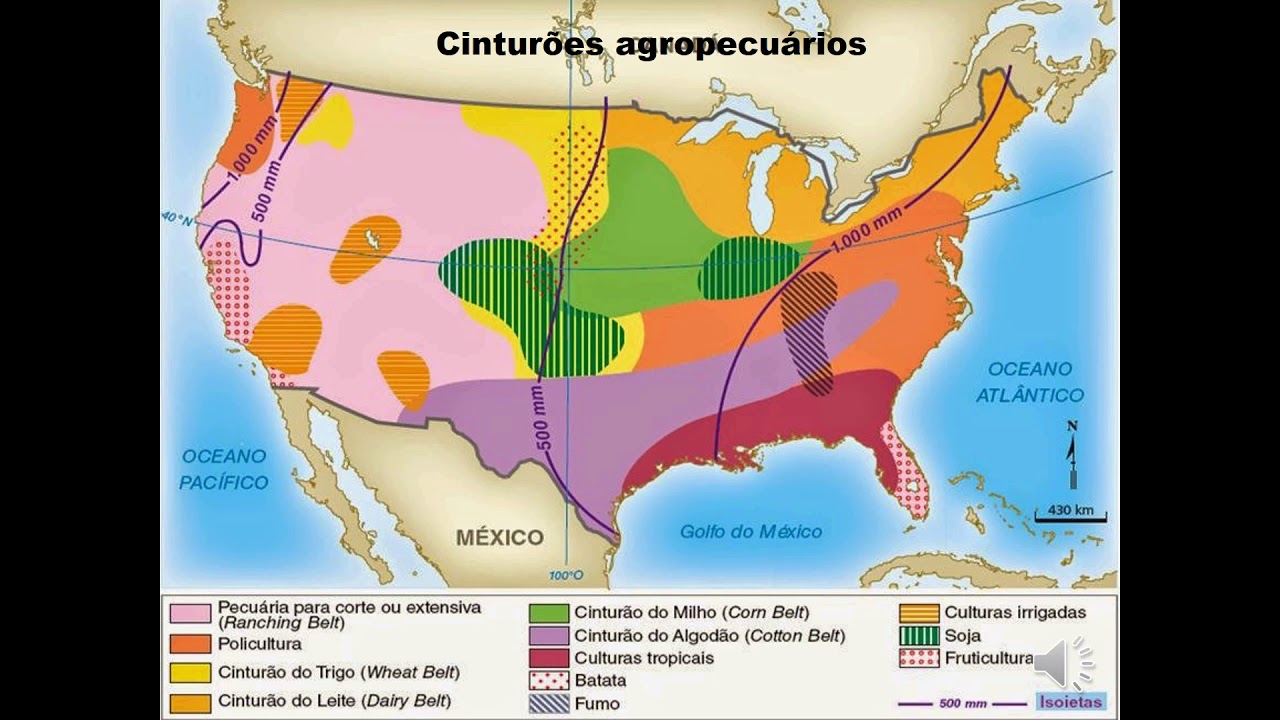 Explique Como Funciona A Economia Dos Arquipélagos Coloniais