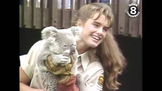 Brooke Shields takes summer internship at the San Diego Zoo in 1983