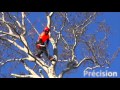 Atteindre les sommets arboristes du calavon  boris robitaille