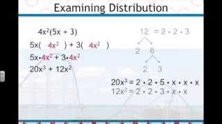 Factoring Polynomials with a Greatest Common Factor Explained Resimi