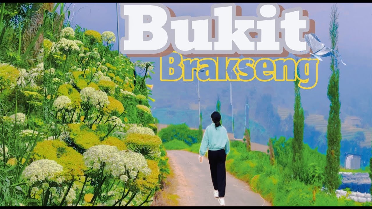 #12 Pesona bukit Brakseng cangar Jawa Timur | menikmati keindahan alam dari ketinggian