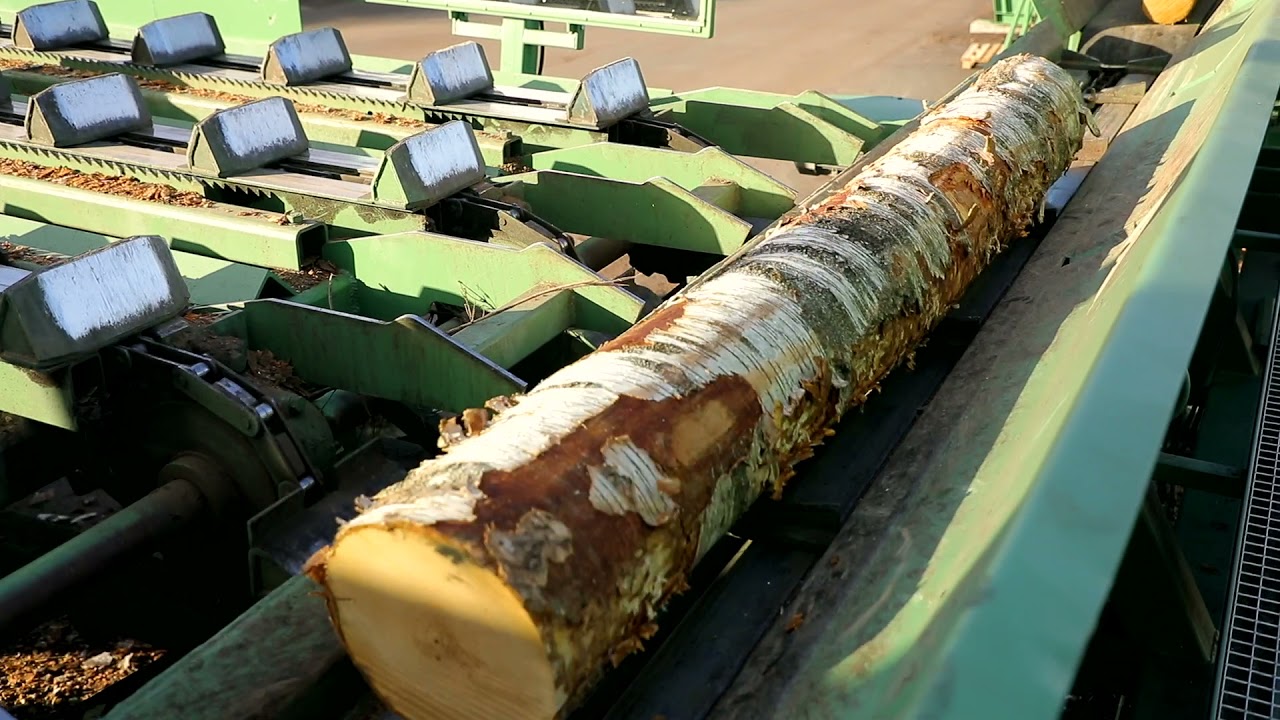 Krauss SIA birch logs yard and logs sorting line